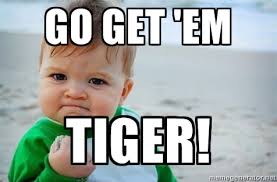 go get em tiger